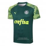 Camiseta de Entrenamiento Palmeiras 2020/2021 Verde