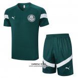 Chandal del Palmeiras Manga Corta 202023/2024 Verde - Pantalon Corto