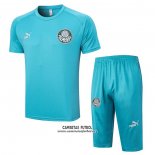 Chandal del Palmeiras Manga Corta 2023/2024 Verde - Pantalon Corto