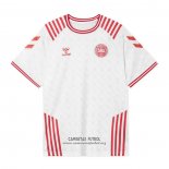 Camiseta Dinamarca Special 2022