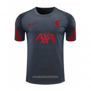 Camiseta de Entrenamiento Liverpool 2020/2021 Gris