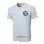 Camiseta de Entrenamiento Palmeiras 2023/2024 Gris