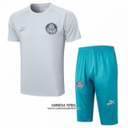 Chandal del Palmeiras Manga Corta 2023/2024 Gris - Pantalon Corto