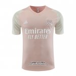 Camiseta de Entrenamiento Lyon 2023/2024 Rosa
