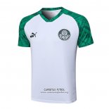 Camiseta de Entrenamiento Palmeiras 2023/2024 Blanco