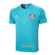 Camiseta de Entrenamiento Palmeiras 2023/2024 Verde