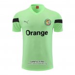 Camiseta de Entrenamiento Senegal 202023/2024 Verde