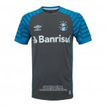 Tailandia Camiseta Gremio Portero 2021 Gris