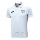 Camiseta Polo del Manchester City 2023/2024 Gris