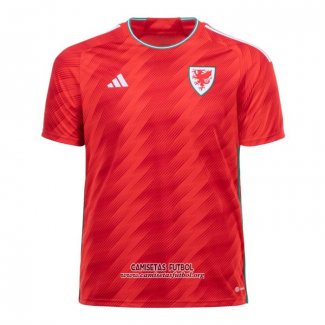 Camiseta Gales Primera 2022