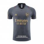 Camiseta de Entrenamiento Arsenal 2023/2024 Gris