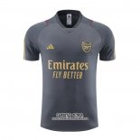 Camiseta de Entrenamiento Arsenal 2023/2024 Gris