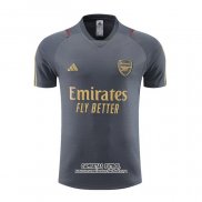 Camiseta de Entrenamiento Arsenal 2023/2024 Gris