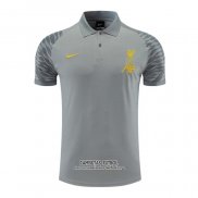Camiseta Polo del Liverpool 2022/2023 Gris