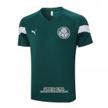 Camiseta de Entrenamiento Palmeiras 202023/2024 Verde
