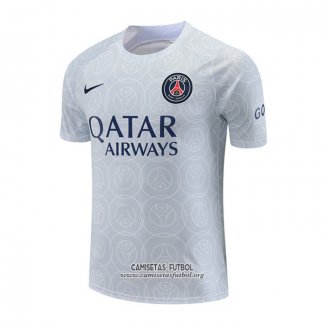 Camiseta de Entrenamiento Paris Saint-Germain 2022/2023 Gris