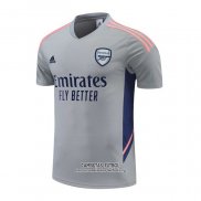 Camiseta de Entrenamiento Arsenal 2022/2023 Gris